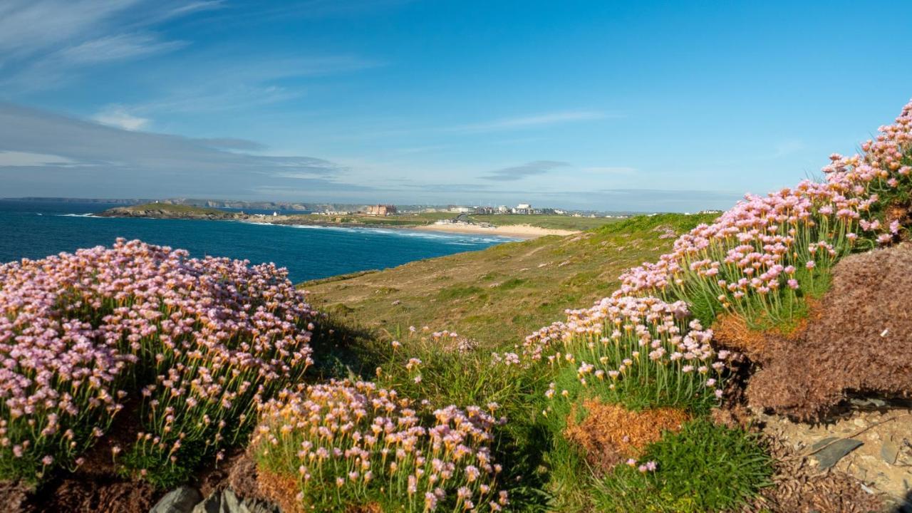 Ollies 4 Cribbar New Quay Exterior foto