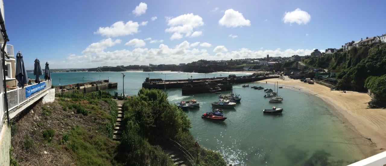 Ollies 4 Cribbar New Quay Exterior foto