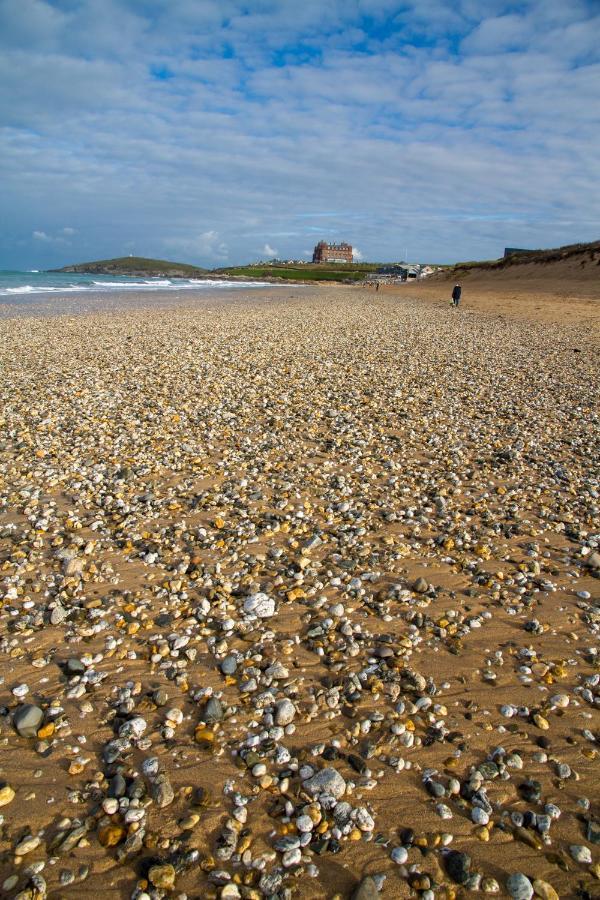 Ollies 4 Cribbar New Quay Exterior foto