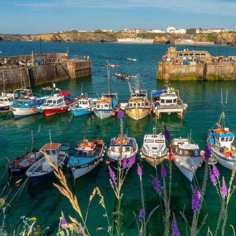 Ollies 4 Cribbar New Quay Exterior foto